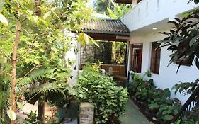 Alex Home Stay